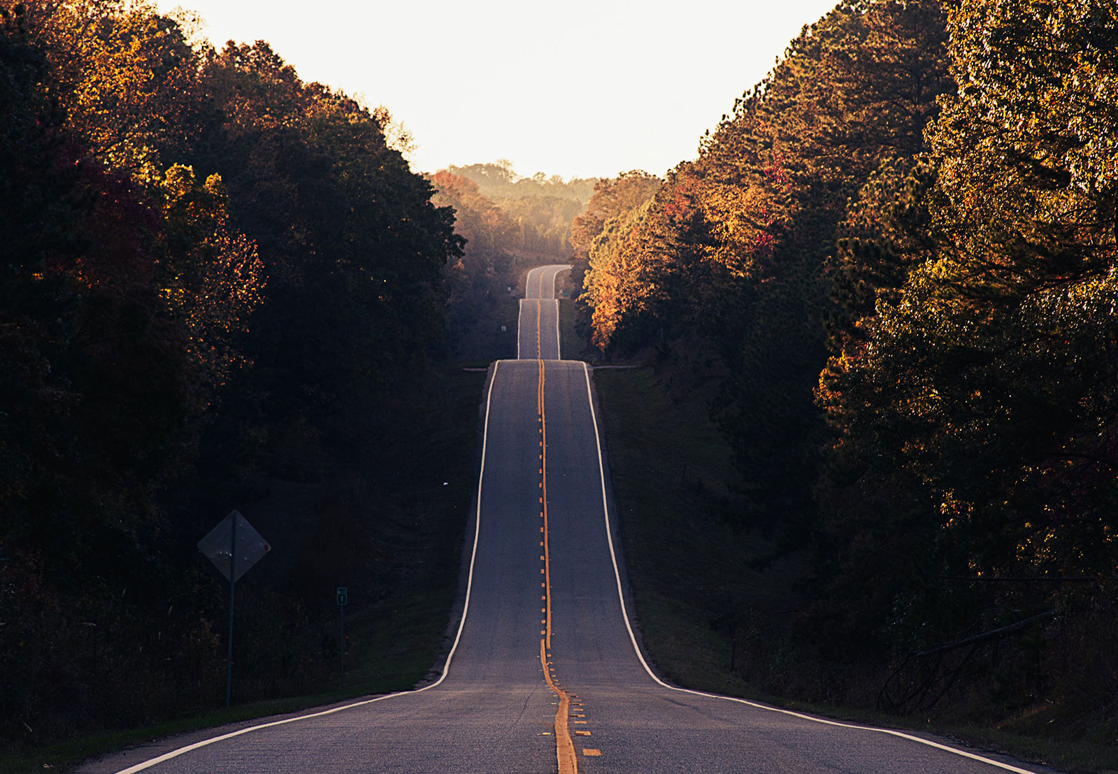 path-4.jpg