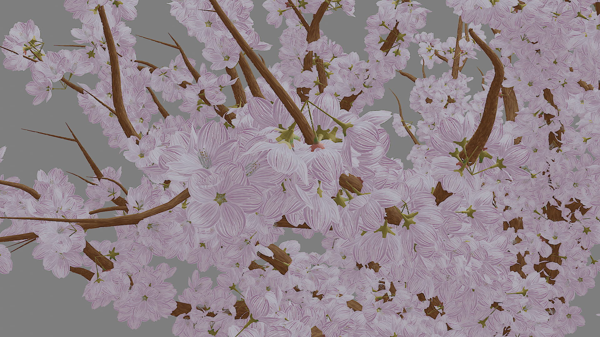 sakura_suisai1.png