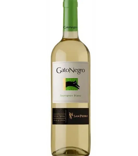 gato negro sauvignon blanc