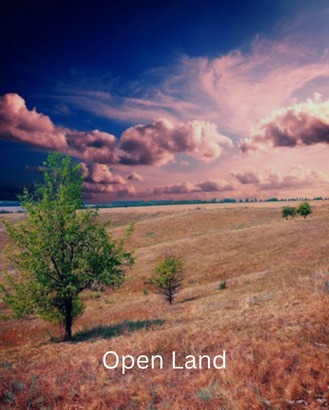 Open Land