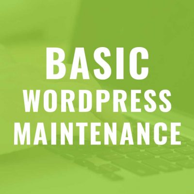 Basic WordPress Hosting and Maintenance