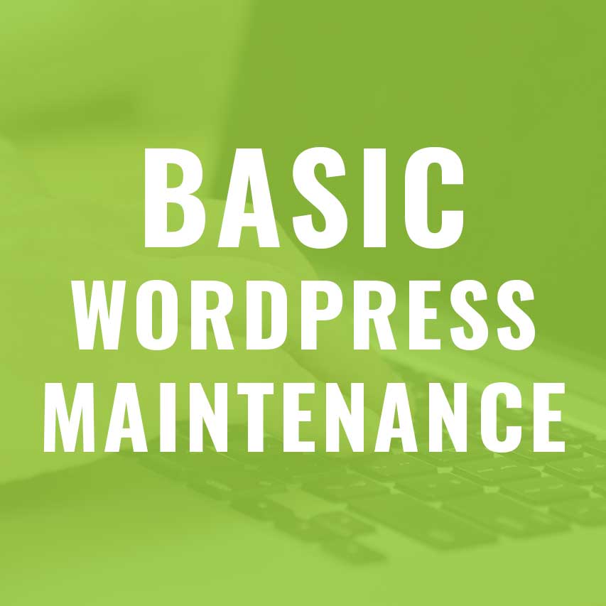 Basic WordPress Hosting and Maintenance