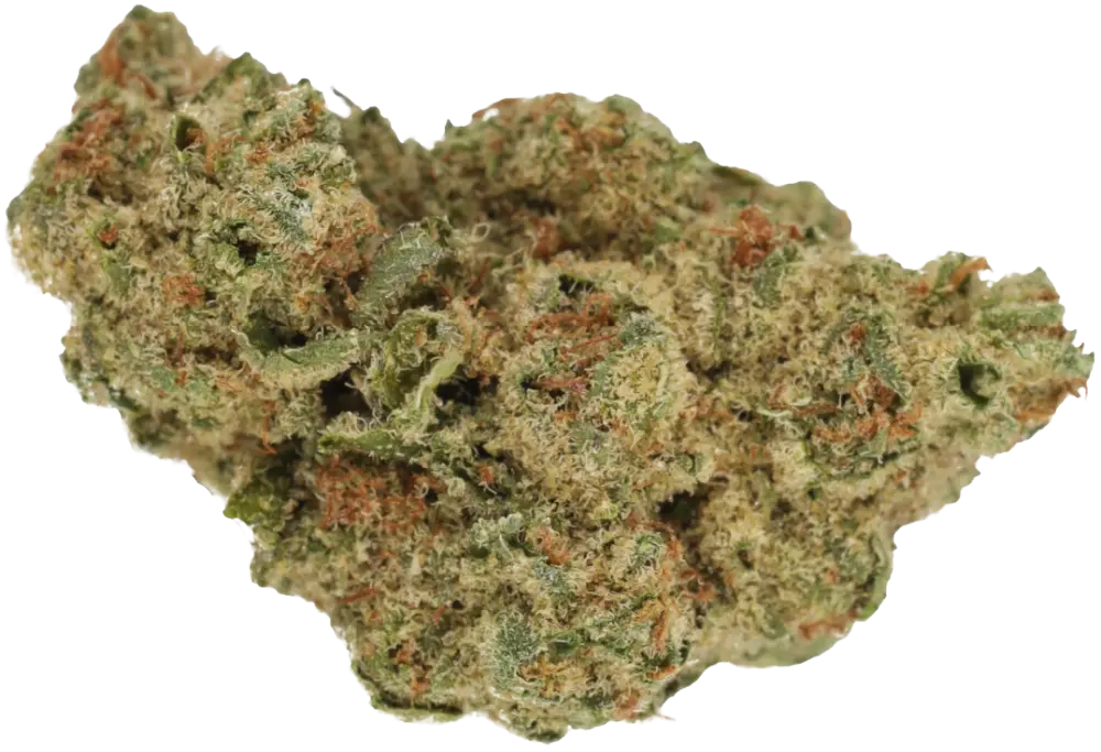 Cannamedical Indica forte NG product photo