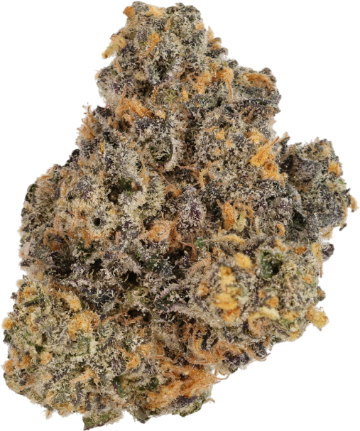 OG Lime Kush: ZOIKS 26/1 LK - Avaay/Vayamed
