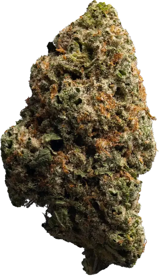 enua 30/1 8BK CA 8 Ball Kush Produktfoto