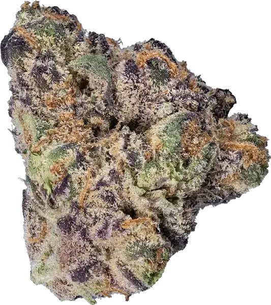 enua 30/1 CCK-GBZ CA Guava Barz Produktfoto