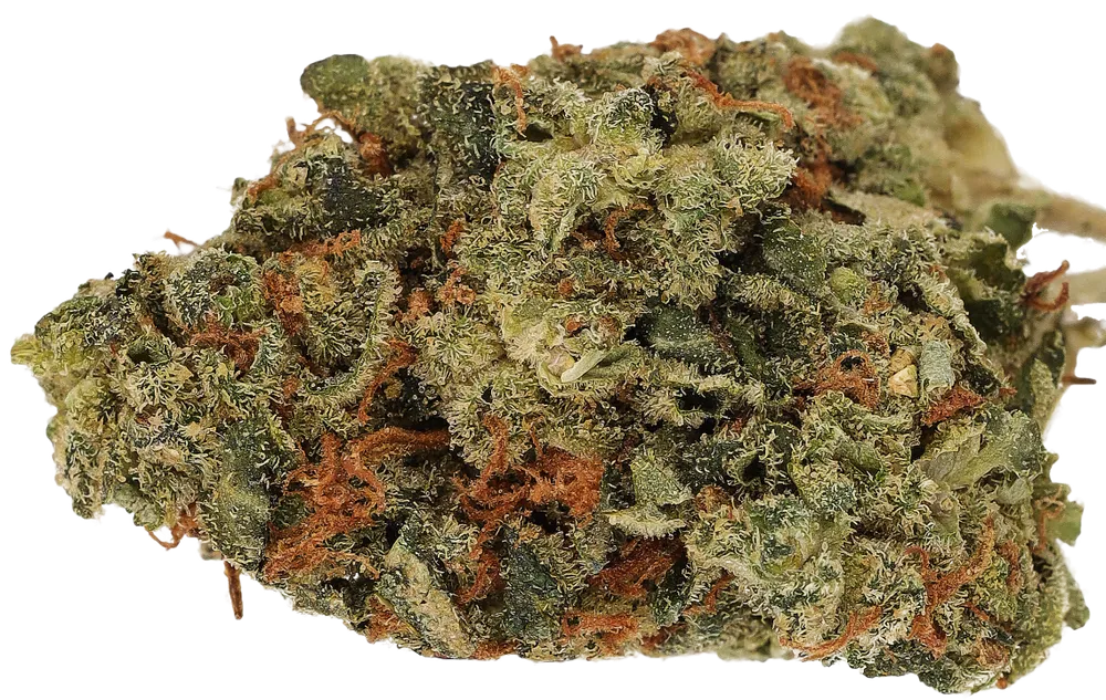 OG Kush: Cannamedical CM 24/1 OG Kush - Cannamedical