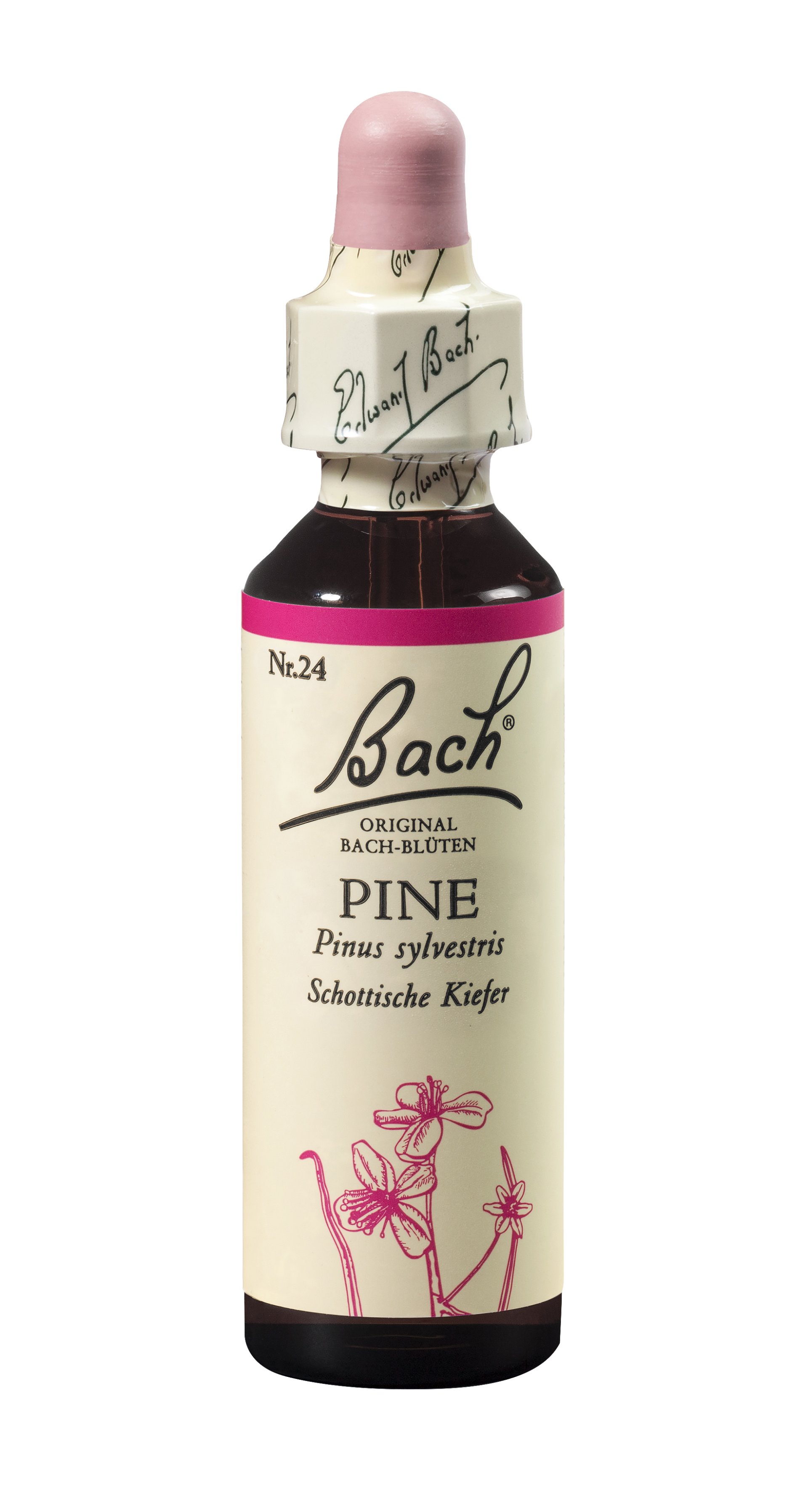 Flasche mit Bach-Blüten-Essenz Nr. 24 "Pine" (Schottische Kiefer) in einem dekorativen Design.
