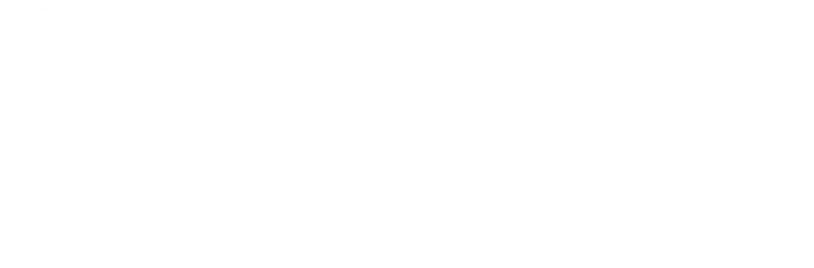 The M' amin - International Horse Registry