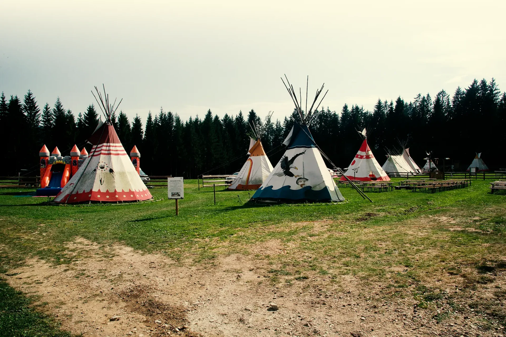 Bunte Tipis in einem grünen Feld umgeben von Bäumen, ideal für Camping und Outdoor-Aktivitäten. Die Zelte sind in verschiedenen Farben gestaltet und bieten eine charmante Kulisse für Abenteuer in der Natur.