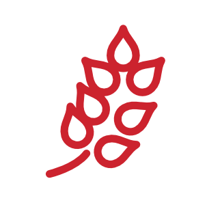 Rotes Icon einer Ähre mit Wassertröpfchen, symbolisiert Landwirtschaft und Ernte.
