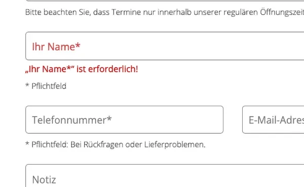 Screenshot von einer Screenreader-optimierten Fehlermeldung in einem Formular