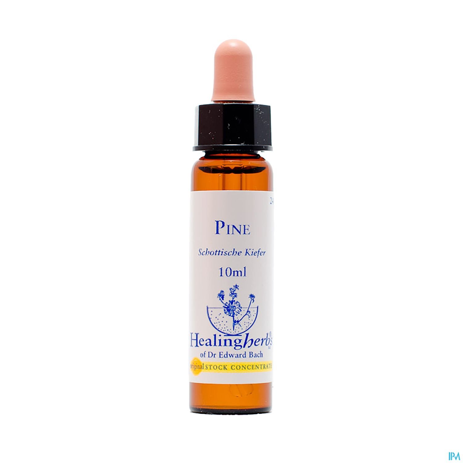 Flasche mit Tropfverschluss für Bachblütenmittel "Pine" (Schottische Kiefer), 10 ml, von Healing Herbs.