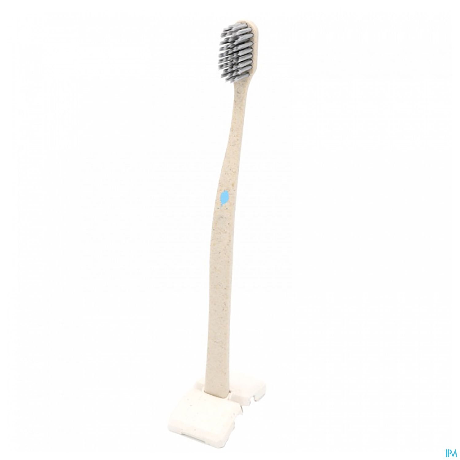 Zahnbürste mit einem langen, hellen Griff und schwarzen Borsten auf einem weißen Standfuß.