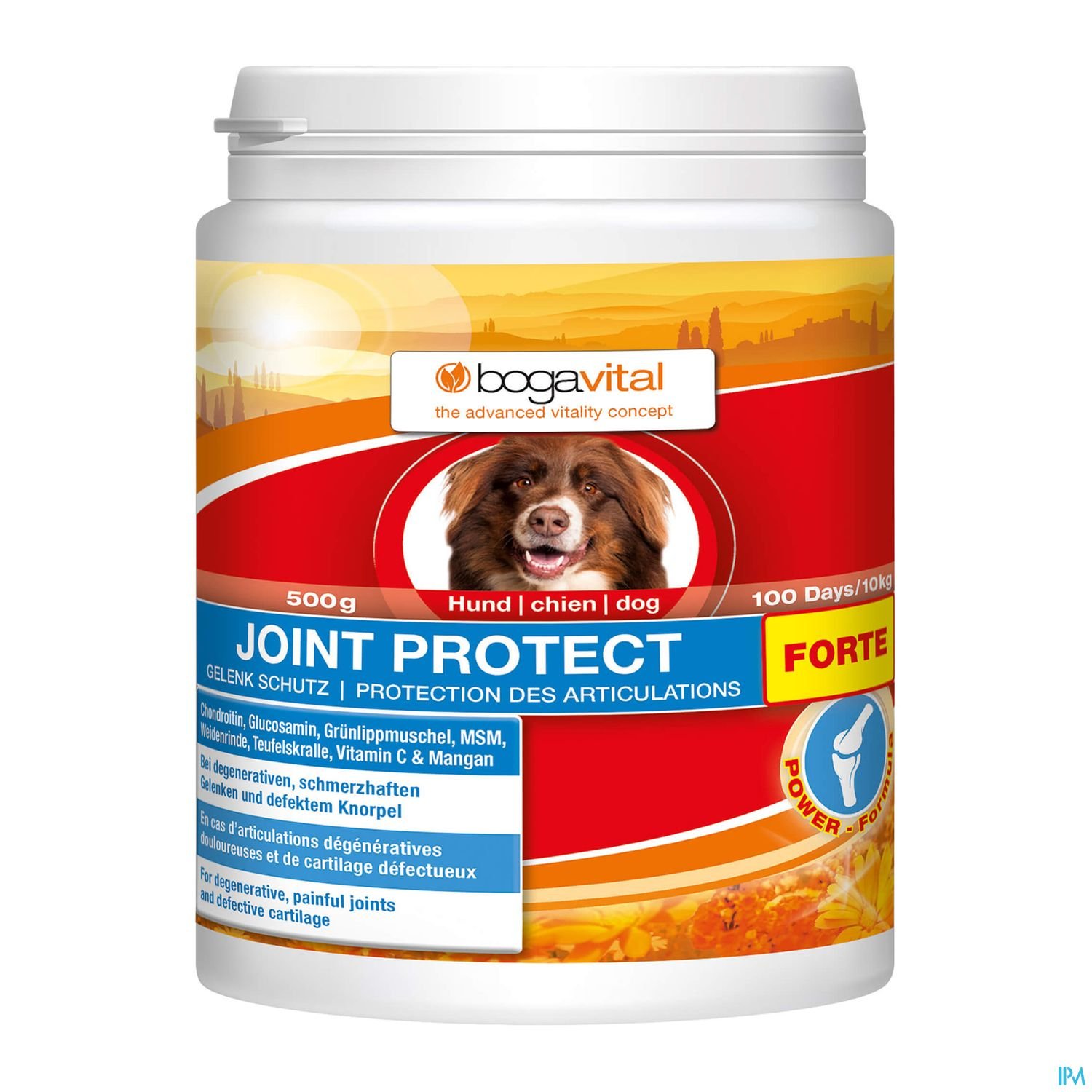 Packung von Bogavital "Joint Protect" für Hunde, 500g, zur Unterstützung der Gelenke.