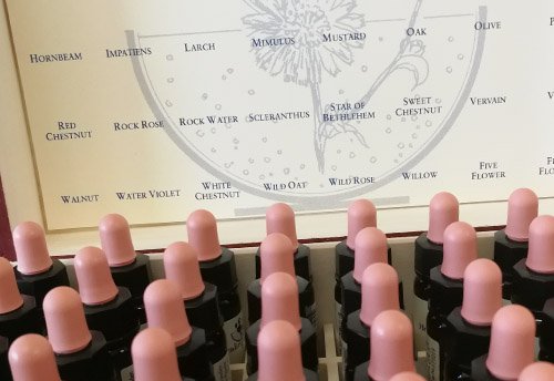 Eine Anordnung von Tropfflaschen mit verschiedenen Blütenessenzen, darunter Hornbeam, Larch und Mimulus, vor einem Hintergrund mit einer grafischen Darstellung von Blüten und deren Namen. Die Flaschen haben eine rosa Kappe und sind in einer Reihe auf einem Tisch platziert. Im Hintergrund sind die Namen der Blütenessenzen aufgelistet, die zur Unterstützung des emotionalen Wohlbefindens verwendet werden.