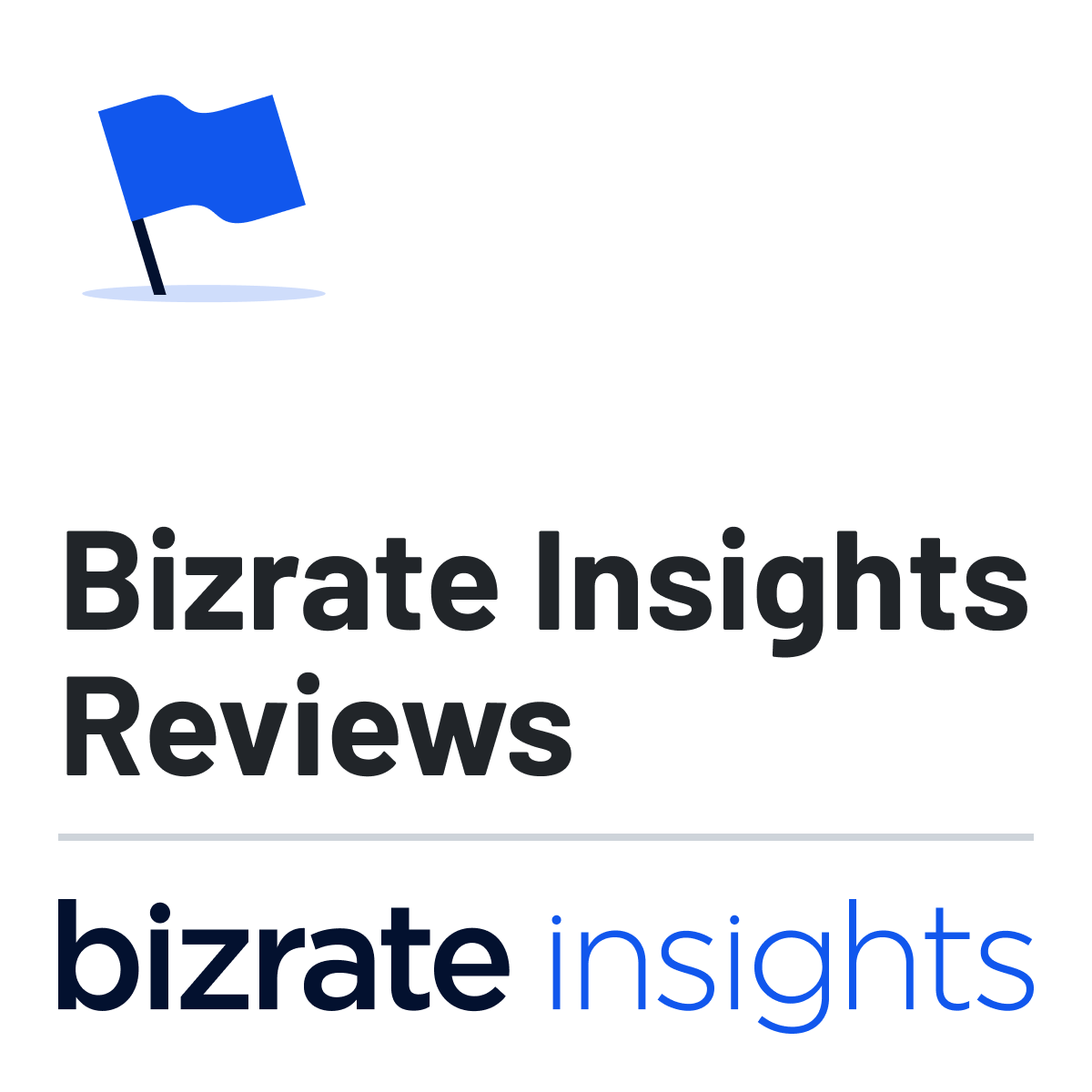 Bizrate Insights Reviews