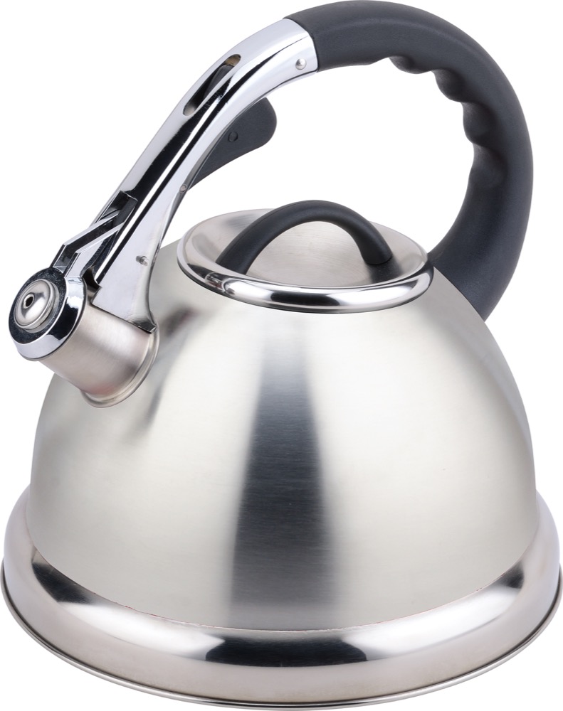 Buckingham Stainless Stove Top Induction Gas Whistling Kettle 3.5 L, Matt finish 