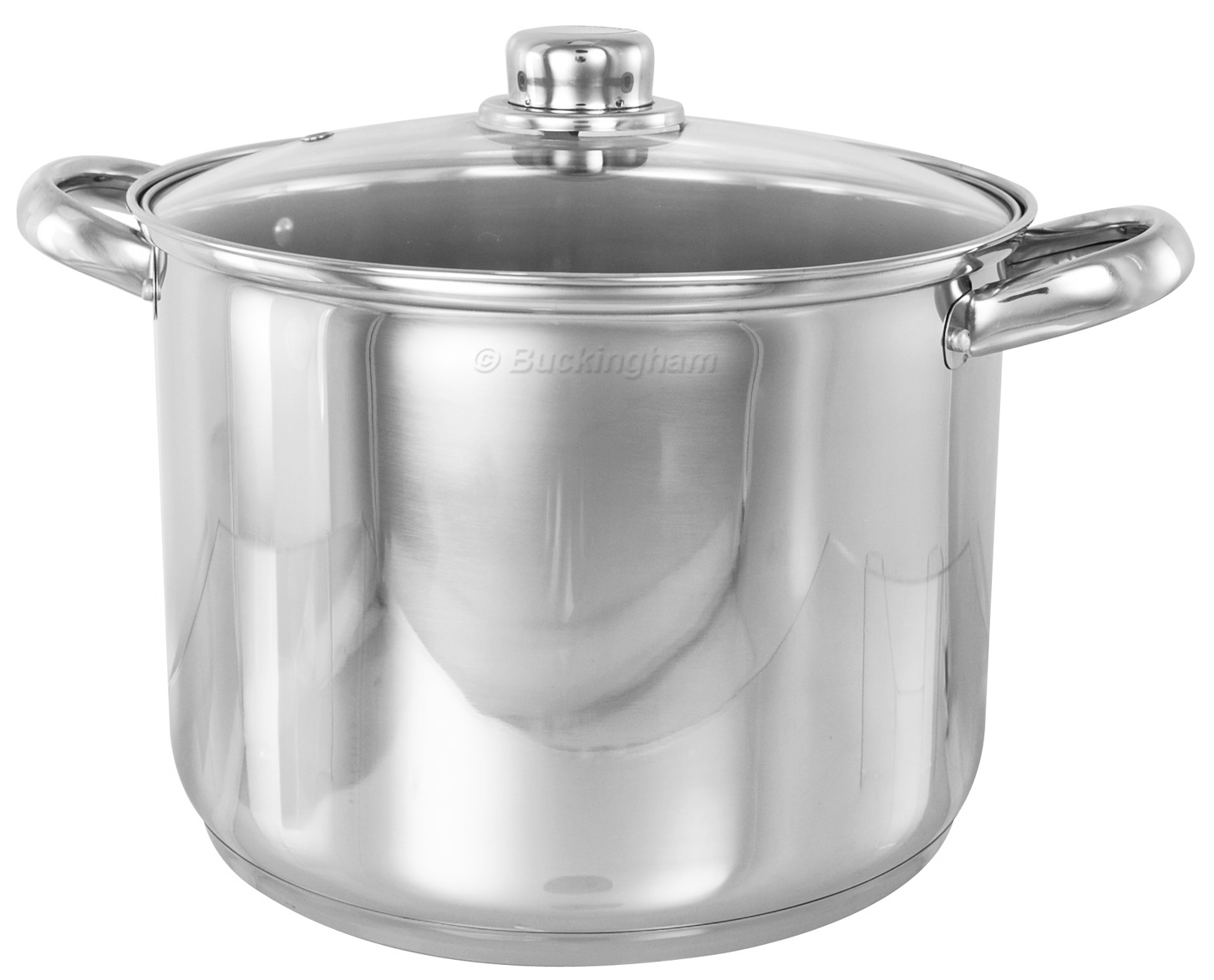 Buckingham Premium Induction Stainless Steel Stock Pot, 24 cm, 9 L