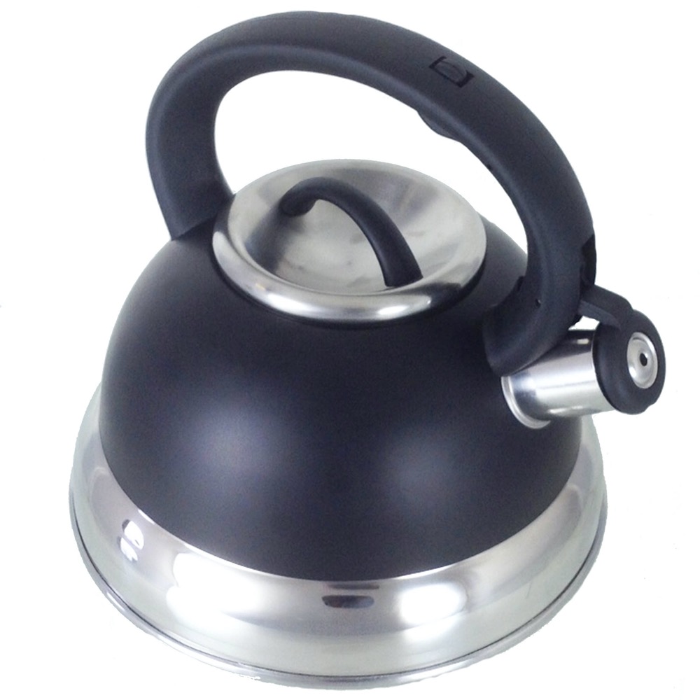 Buckingham Stainless Steel Stove Top Induction Gas Whistling Kettle 3 L - Black