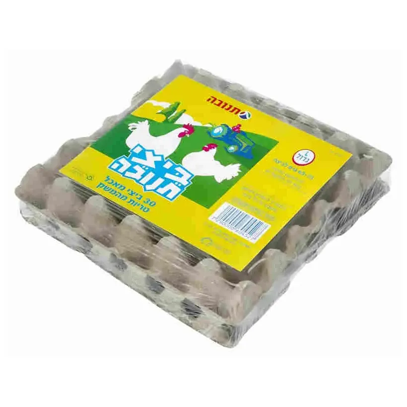 קמעונאי 30 גדול L