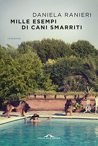 Mille Esempi Di Cani Smarriti