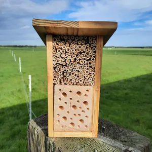 Insektenhotel - Bild 2