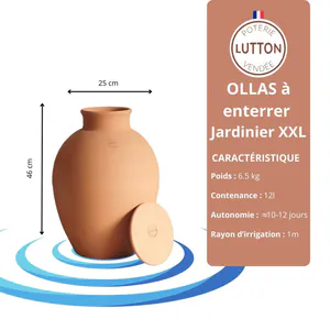 Olla Watering Pot - Image 4