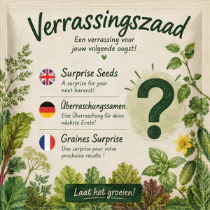 Verrassingszaad