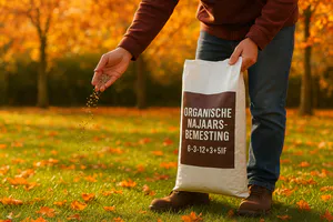 herfstbemesting-op-een-zonovergoten-grasveld.png