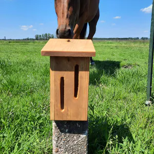 Insektenhotel - Bild 3