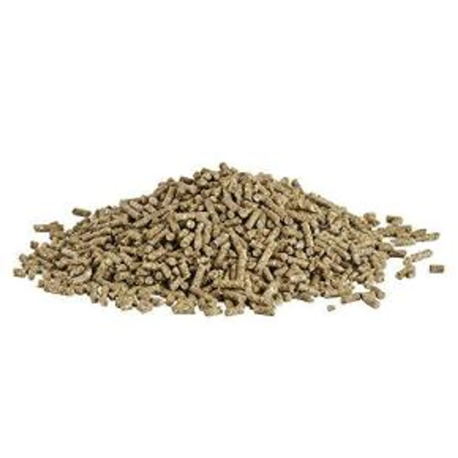 Wolkorrel voor in de tuin
