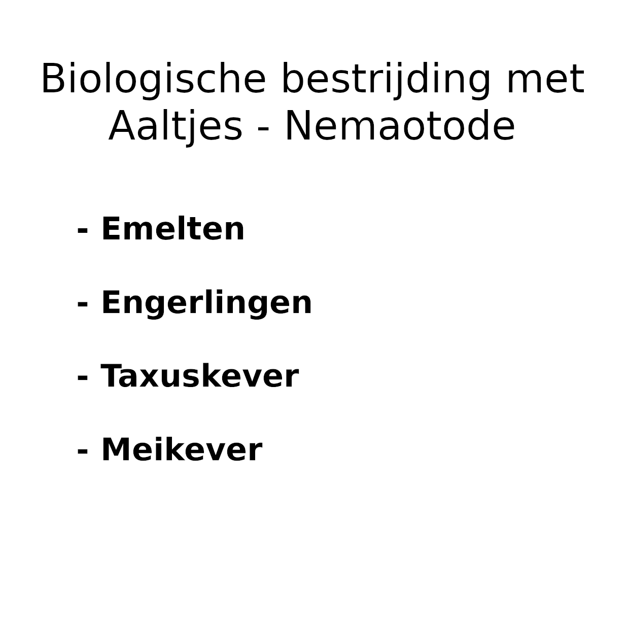 Heterorhabditis Bacteriophorae - Aaltjes