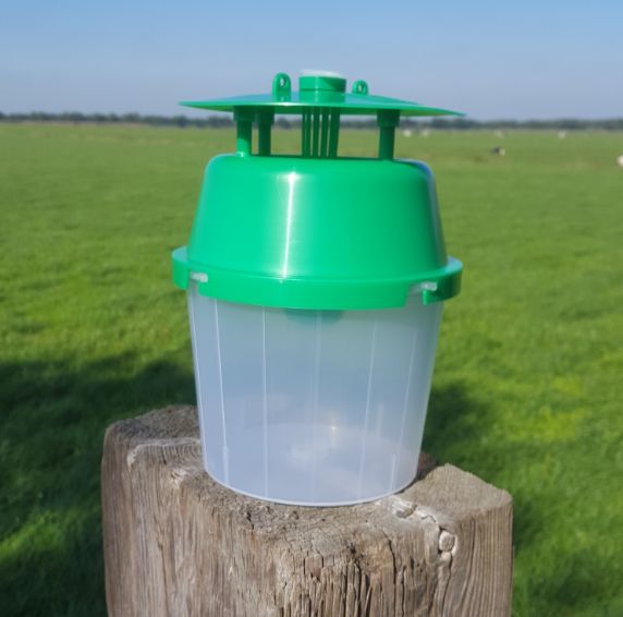 Hofman Boxwood moth trap including attractant Buy Online