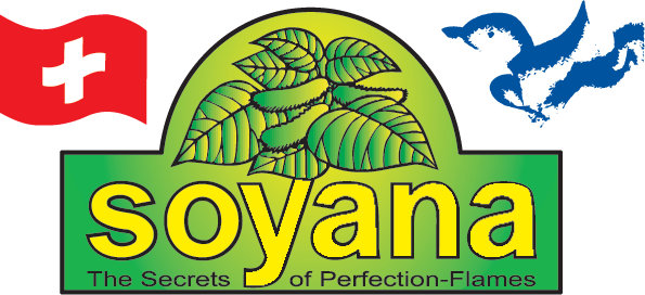 Soyana Fine plant-based organic food