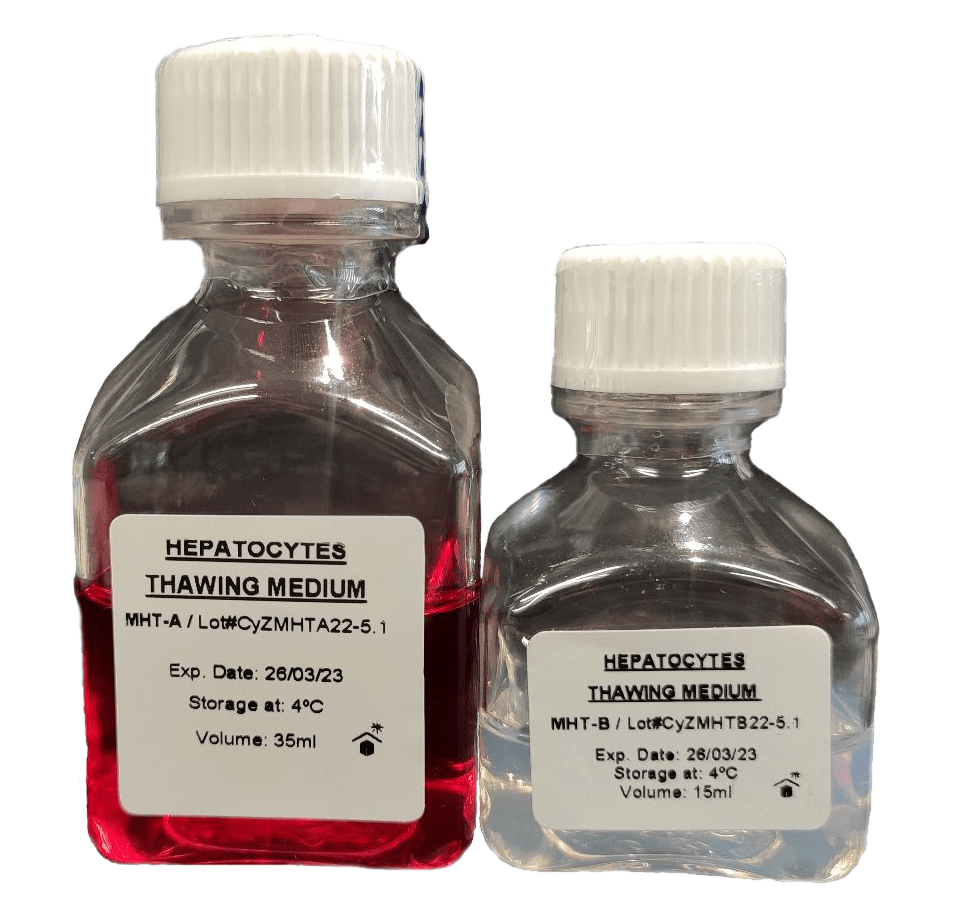 Human Hepatocytes ​Media Cytes media has been designed to successfully culture primary hepatocytes following specific formulations to support thawing, plating, and maintenance of primary cells. Most of the products are ready-to-use and are available in a variety formats.
Cytes media has been designed to successfully culture primary NPCs following specific formulations to support growth and thawing of primary cells. Most of the products are ready-to-use and are available in a variety of packaging and delivery configurat