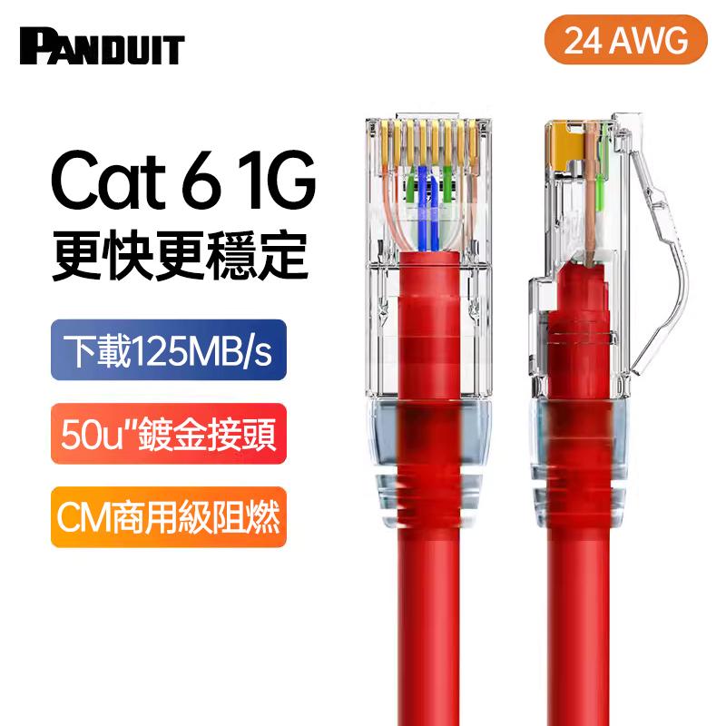 PANDUIT Cat 6 U/UTP 24AWG CM 跳接線 - NK6PC