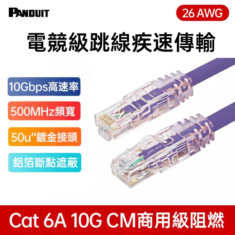 PANDUIT Cat 6A U/UTP  26AWG CM跳接線 - UTP6ASD