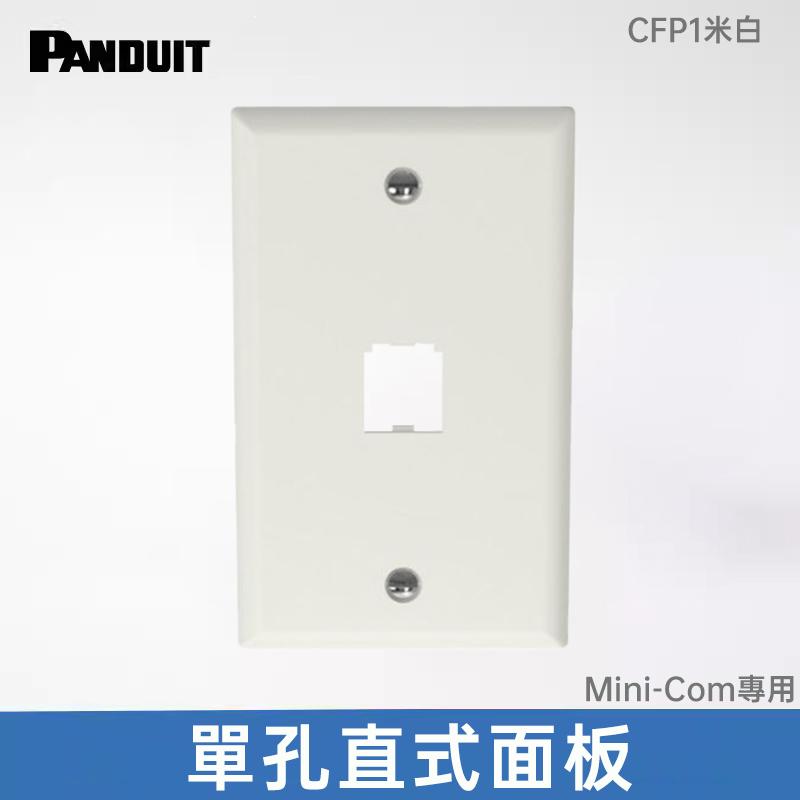 PANDUIT 資訊面板 -搭配Pan-Net資訊插座系列