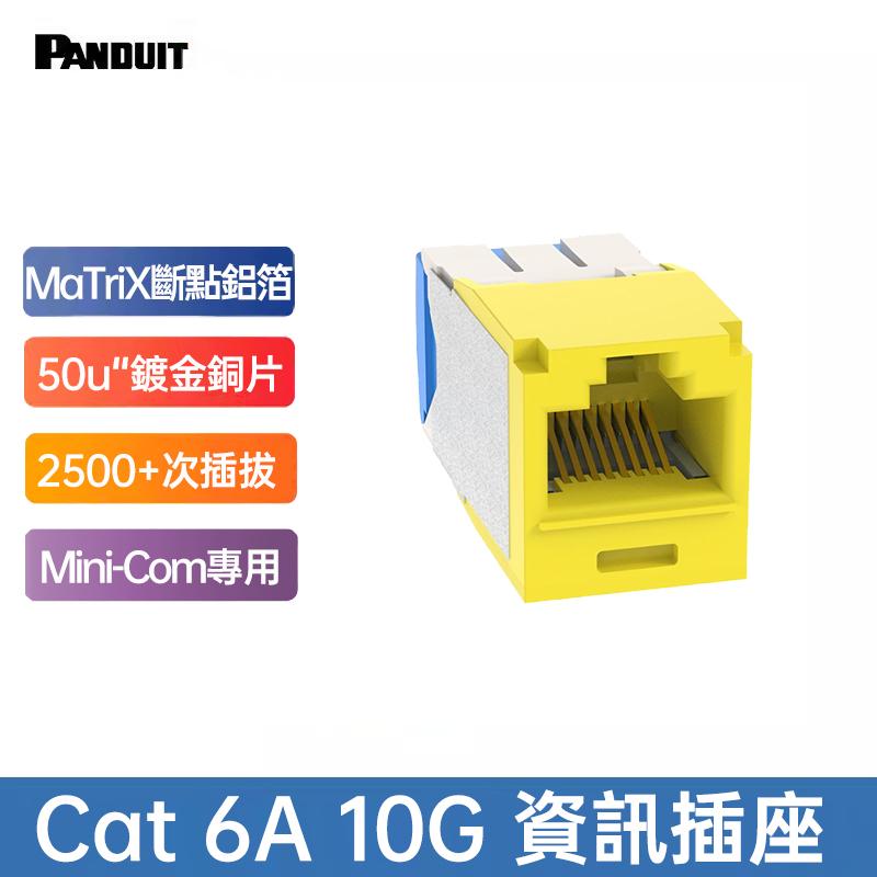 PANDUIT Cat 6A UTP 無遮蔽式資訊插座 - CJ6X88TG