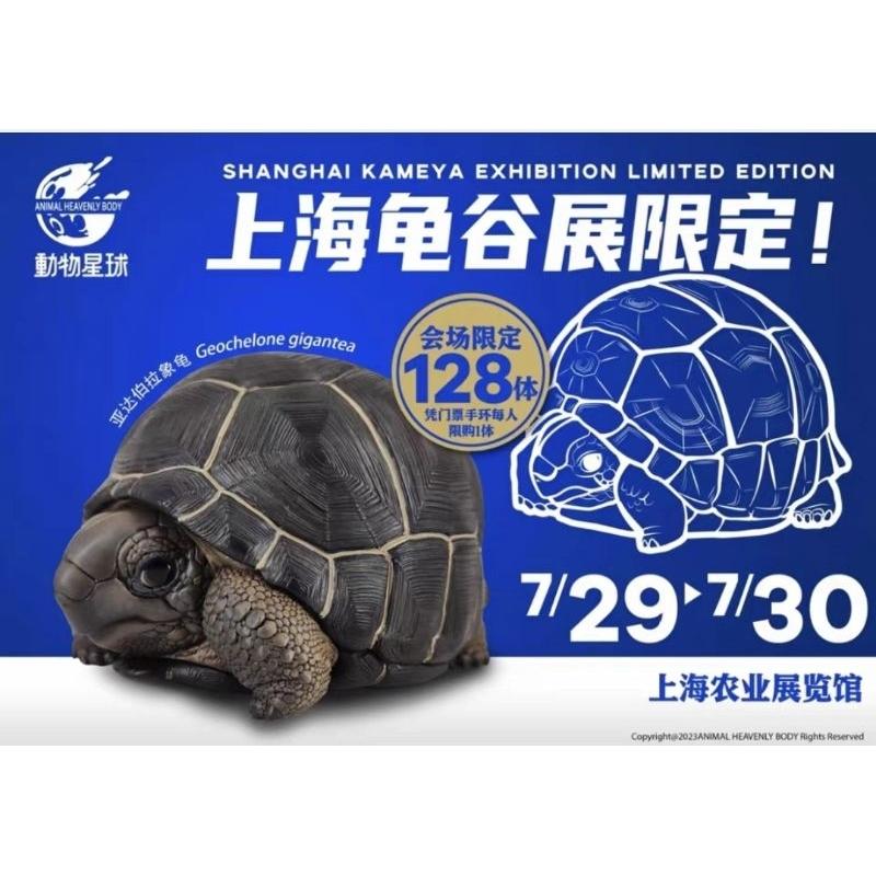 【動物星球】授權代理商 上海龜谷展 全球限量128體 亞達伯拉 亞達PLUS 陸龜模型 手辦 全新