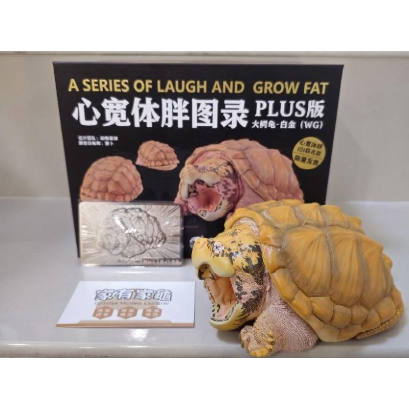 【動物星球】授權代理商 101dd 聯名 現貨 白金大鱷 PLUS WG 全球限量188體 鱷龜 有銀卡編號 免運費