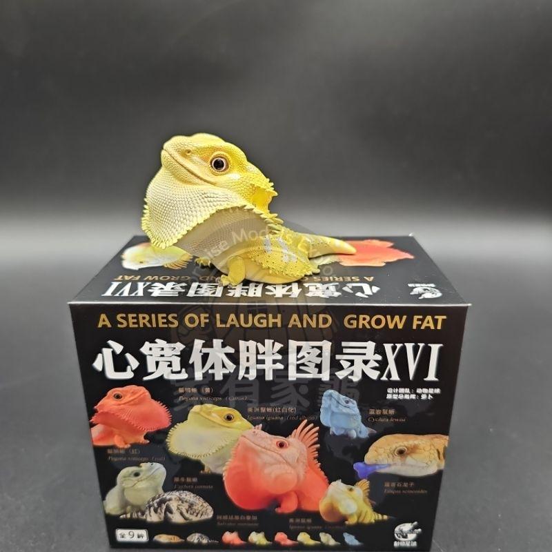 【動物星球】 授權代理商 現貨 第16彈 蜥蜴 鬣蜥 鬃獅蜥 手辦 公仔 模型 單隻