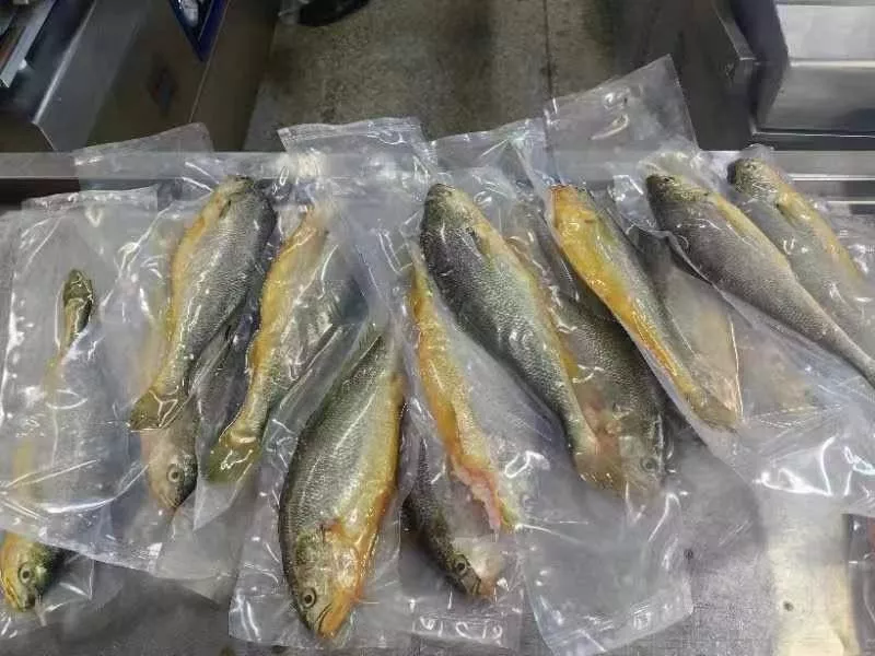 鮮嫩黃魚 SGS檢驗合格 香煎、燒烤最美味