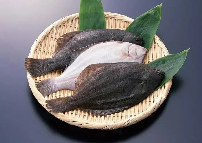 扁鱈(比目魚)  鮮嫩多汁 超美味！