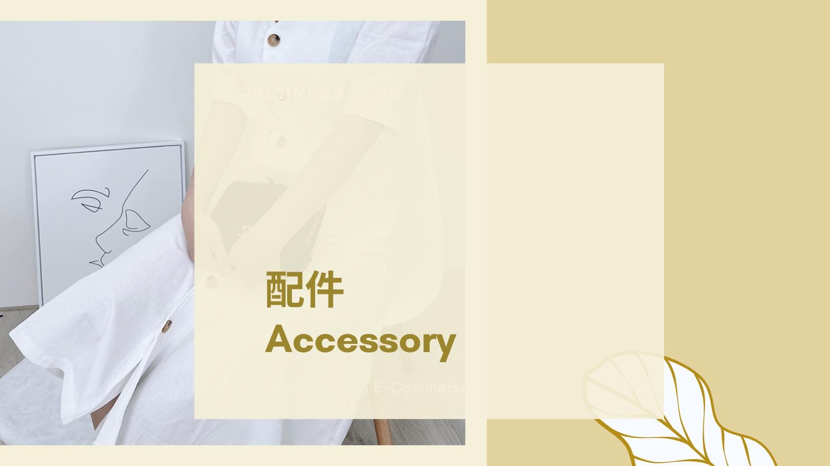 配件Accessory