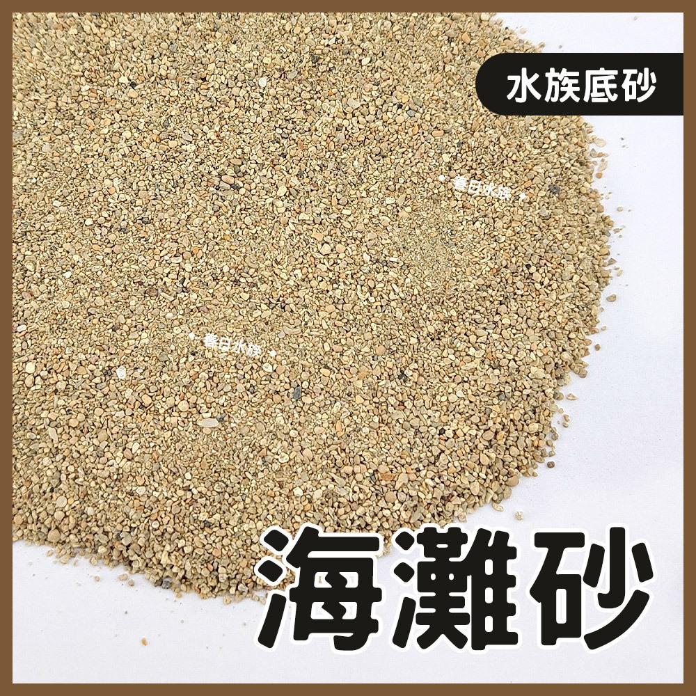 海灘砂 0號 1.5kg 3kg 海灘沙 珊瑚砂 菲律賓砂 底砂 底沙 細砂 天然底砂 海灘沙 造景 裝飾 | 春日水族商城