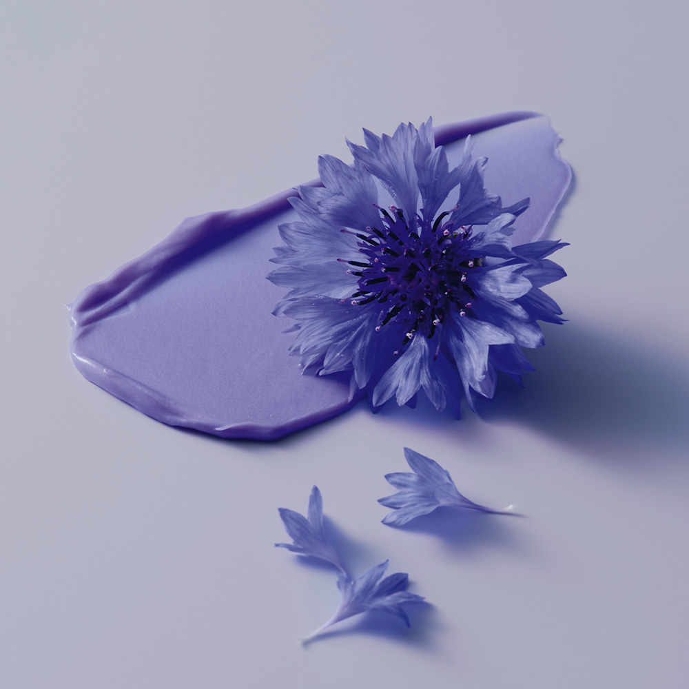 Schwarzkopf BlondMe Bond Repair | Fioletowa odżywka w sprayu do włosów blond i rozjaśnianych 150ml