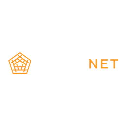 Pentanet logo