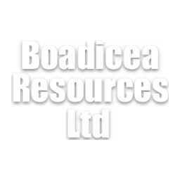 Boa Resources logo